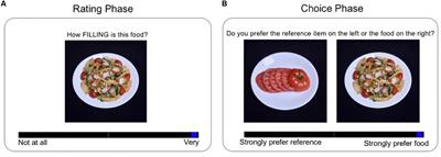 Food Folio by Columbia Center for Eating Disorders: A Freely Available Food Image Database